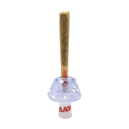 RAW Glass Cone Holders - Image 4