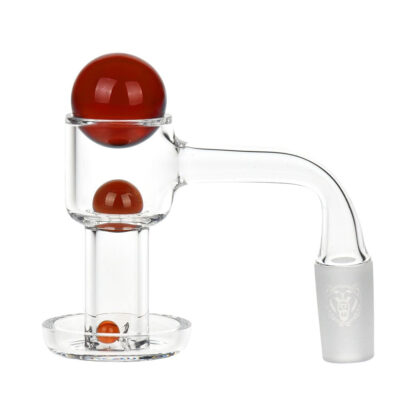Bear Quartz V1 Slurper Banger Set | 4pc | V1 Slurper Banger Set - Image 3