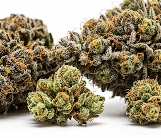 Herb / Flower